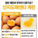 옥천군 농산물산지유통센터 | [산지도매센타 난각번호 1번 유정란] 무항생제 유정란 리뷰