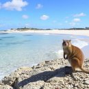 Pink Company(핑크 컴퍼니) 이미지