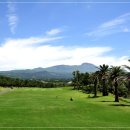 중문골프연습장 이미지