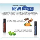 오일전문 이미지