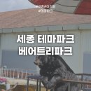 세븐일레븐 천안해피트리점 | 세종 아기랑 갈만한 곳｜베어트리파크 돌 이전 아기랑 가을 나들이 후기 (천안에서 차로 30분)