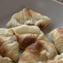 스테이 오힐 이미지