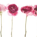 무주명가 이미지