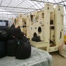 정선중학교 이미지