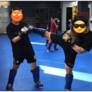 비노짐킥복싱 이미지