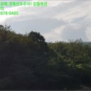 포항시북구2 이미지