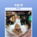 프라임덴탈아이 네이버블로그