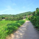 사색의길(종학당) 이미지