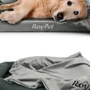 로이애견 이미지