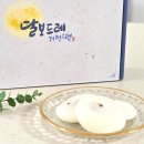 군산우리별유치원 | 직접 발효해 더 맛있는 군산 떡집 달보드레 기정떡 솔직후기