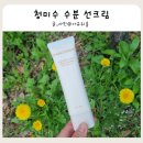 청 수 | 눈안시린 촉촉한 청미수 수분 선크림 눈 안따가운 비건 선크림 후기
