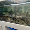 (주)인동 | 구미 인동 맛집 해물찜 천생산아구찜 방문 솔직후기