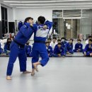 한양대 유도 이미지