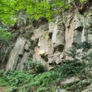 제주머무리 이미지