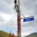 덩쿨농장 이미지