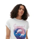 화이트돌핀 이미지