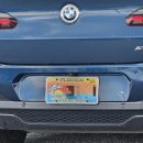 Net station | 🇺🇸 플로리다 로켓 발사 관측 후기 / 케네디스페이스센터 근처 뷰 좋은 로컬 맛집 해산물 레스토랑 Pier 220