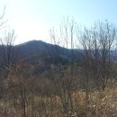 백세공원 티스토리