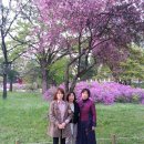 하나목장 이미지