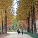 송정제방 이미지