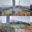 별산농장 Daum카페