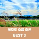 알지니포레스트 이미지