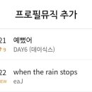 쌀강아지 이미지