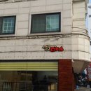 미뇽캣 이미지