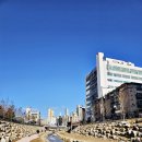 부평1동 주민센터 | 인천 부평 굴포천 복원 30년 만에 돌아온 물길, 낮과 밤 모두 걸어본 솔직 후기(은하수길 러닝코스 산책)