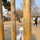 두물머리 관광안내소 | 양평 두물머리 (주차장·두물경·연핫도그) | 애견동반 여행 서울근교