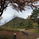 영인산자연휴양림 이미지