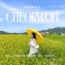 모바일화장실
(유채열차 매표소 근처) | [철원] 고석정꽃밭 6월 봄꽃축제 후기, 강원도 가볼만한 곳