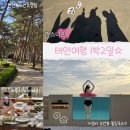 GS25 동림푸른마을점 | 웅니들과 찐힐링 걸스나잇 우정여행 | 내돈내산 안면도 숙소 후기 | 봄에 가기 좋은 국내여행지 코스 추천