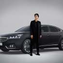 뉴－광고썬팅