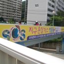 도원정형외과의원 Daum카페