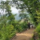 운봉동물병원 이미지