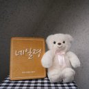 네일졍