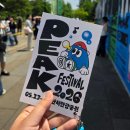 푸드 위드 | [서울/페스티벌] 피크 페스티벌(Peak Festival) 1일차...복장, 맥주, 분위기, 준비물, 푸드트럭, 화장실)