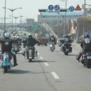 디바인리조트 이미지