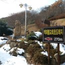 숲쟁이꽃동산제2주차장 네이버블로그