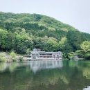 츠보