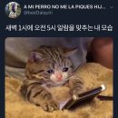 노력이 멋진 결과로 나타날거야