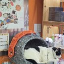 펫클럽 오산점 이미지