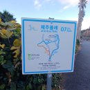 삼매봉 | 서귀포 삼매봉 매화가 어디 갔지???