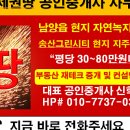 테마공인중개사사무소 이미지