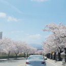 경포천로 네이버블로그