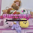 Re Pet 애견샵 | 광안리 무제한 인형뽑기 피피피 두번가긴 좀 애매했던 후기