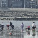 오이도어촌체험휴양마을 이미지