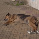 윤인섭 엑스포츠뉴스