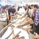 쉼터사슴 이미지